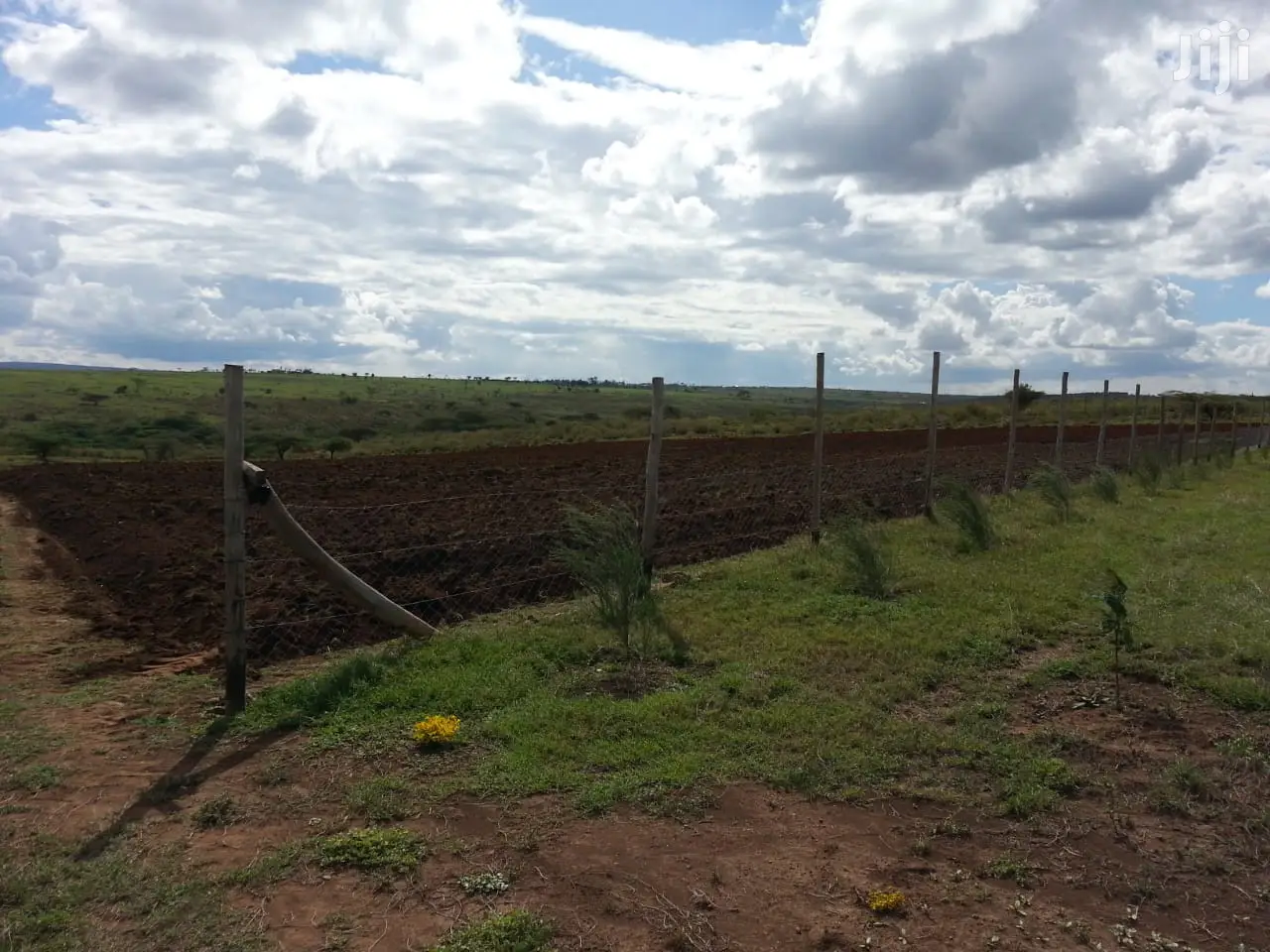 Beautiful Scenic 10 Acres in Kipeto-Kajiado for Sale