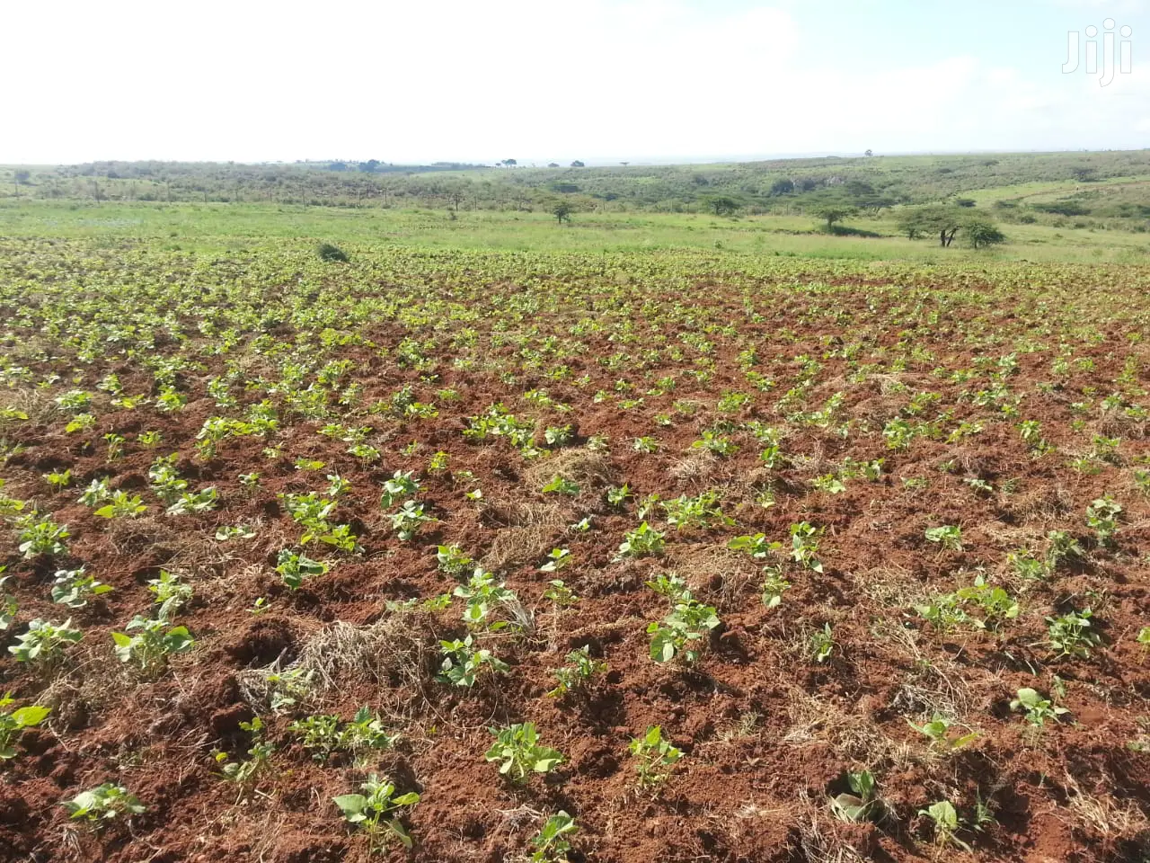 Beautiful Scenic 10 Acres in Kipeto-Kajiado for Sale
