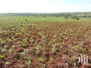 Beautiful Scenic 10 Acres in Kipeto-Kajiado for Sale - thumbnail 2