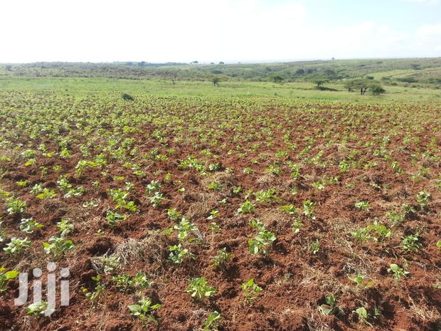 Beautiful Scenic 10 Acres in Kipeto-Kajiado for Sale - main view