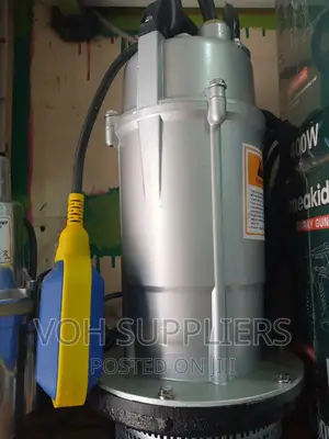 Max Polar Submerssive Pump With A Froat Switch