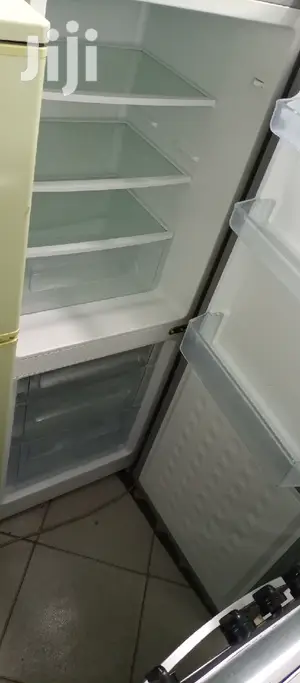 Two Doors Fridge