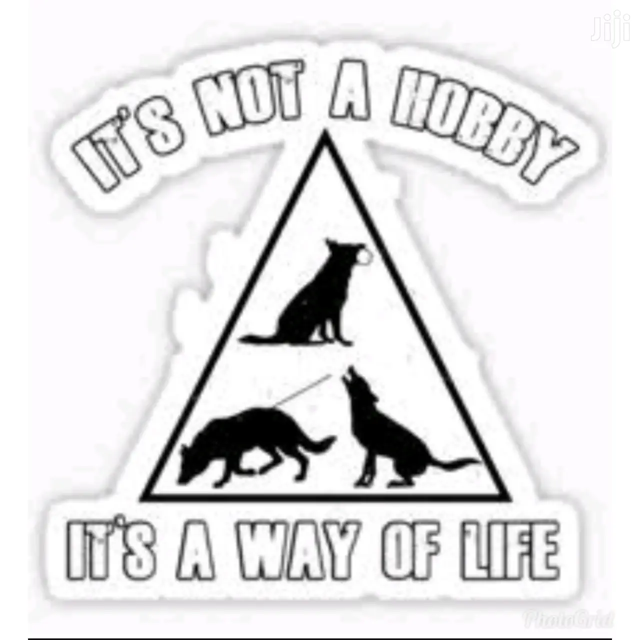 Dog Trainer Kayen Academy