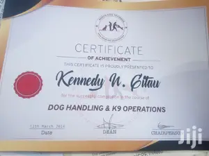 Dog Trainer Kayen Academy