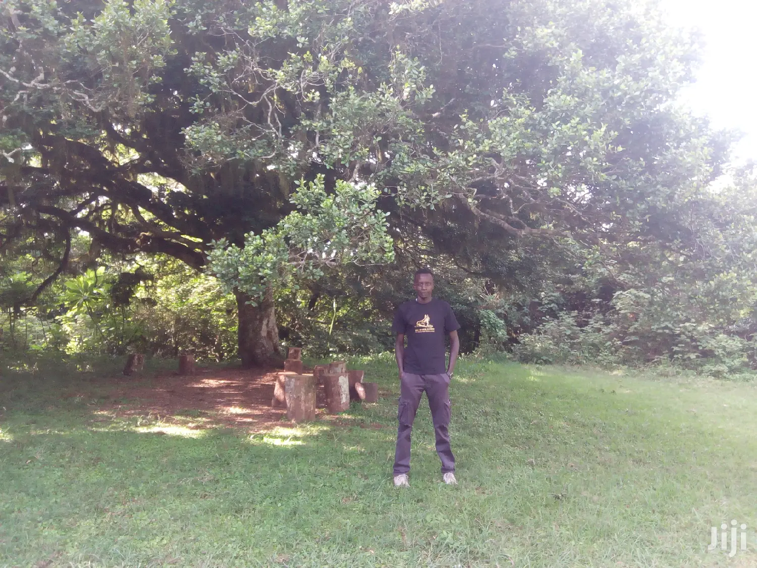 Dog Trainer Kayen Academy