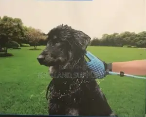 2-in 1 Pet Shower Glove