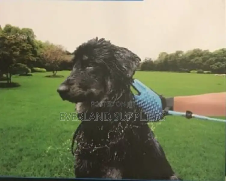2-in 1 Pet Shower Glove