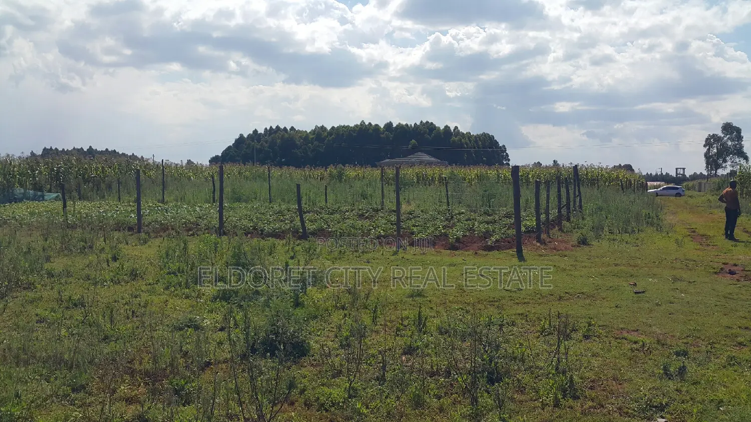 3/4 Plot for Sale in Kiplombe