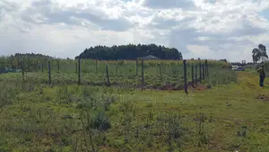 3/4 Plot for Sale in Kiplombe