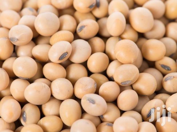 Soya Beans - main view