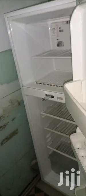 Double Door LG Fridge