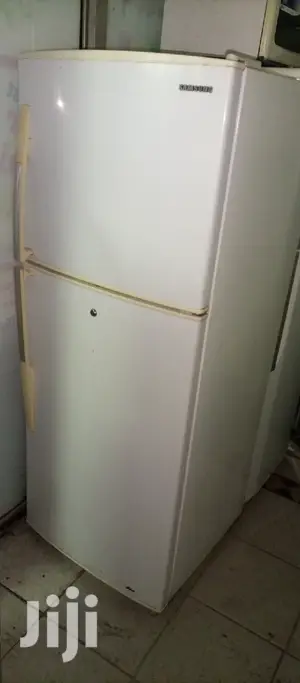 Frost Free Samsung