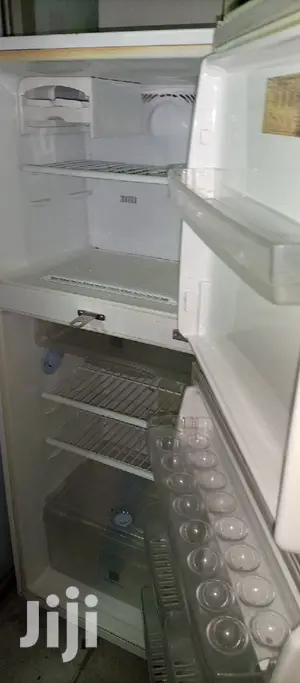 Frost Free Samsung