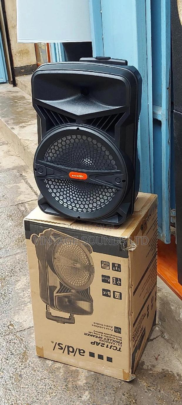 12 Inches Rechargeable Powered Portable Speakers