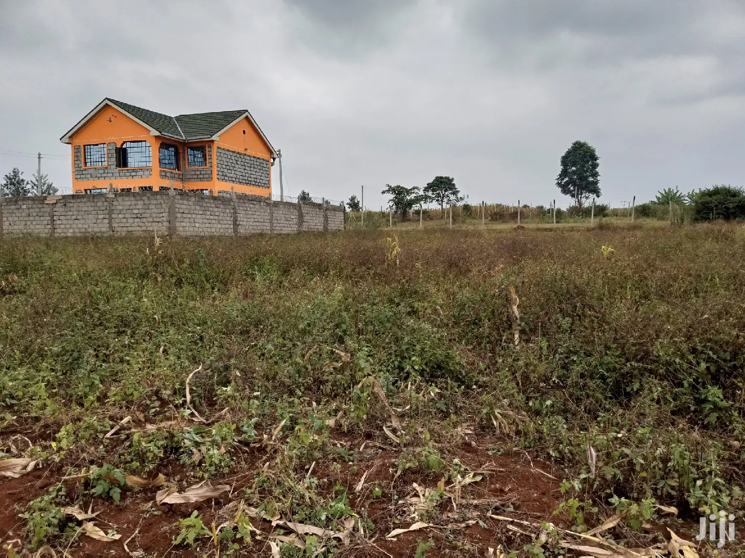 Residential Plot Anmer Estate Near Migaa Estate