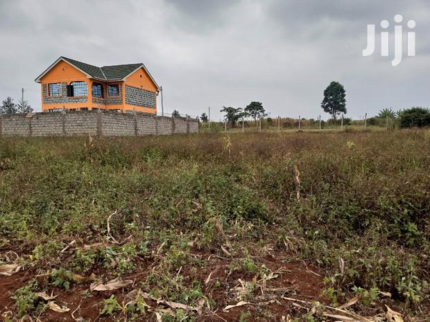 Residential Plot Anmer Estate Near Migaa Estate - thumbnail 4