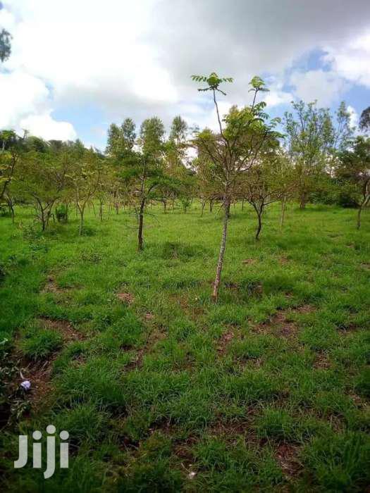 Kiserian Prime 1/4 Acre Plots for Sale - thumbnail 10