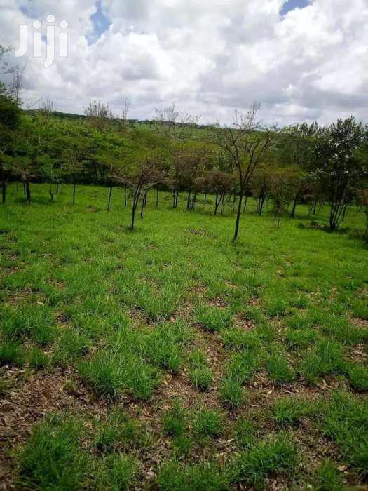 Kiserian Prime 1/4 Acre Plots for Sale - thumbnail 9