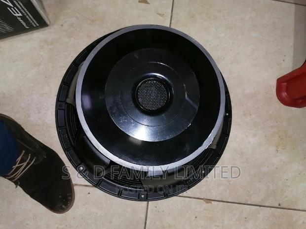 Lavi 18 Inch Naked Speaker