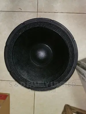 Lavi 18 Inch Naked Speaker