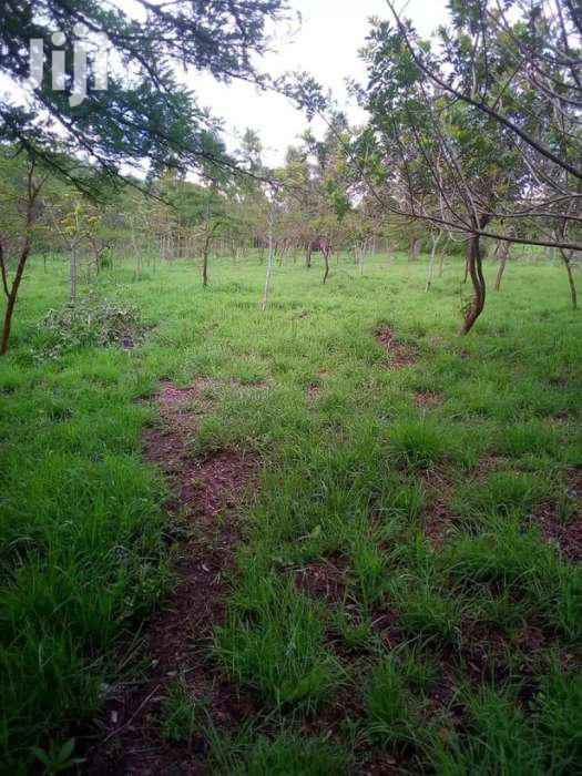 Kiserian Prime 1/4 Acre Plots for Sale - thumbnail 13