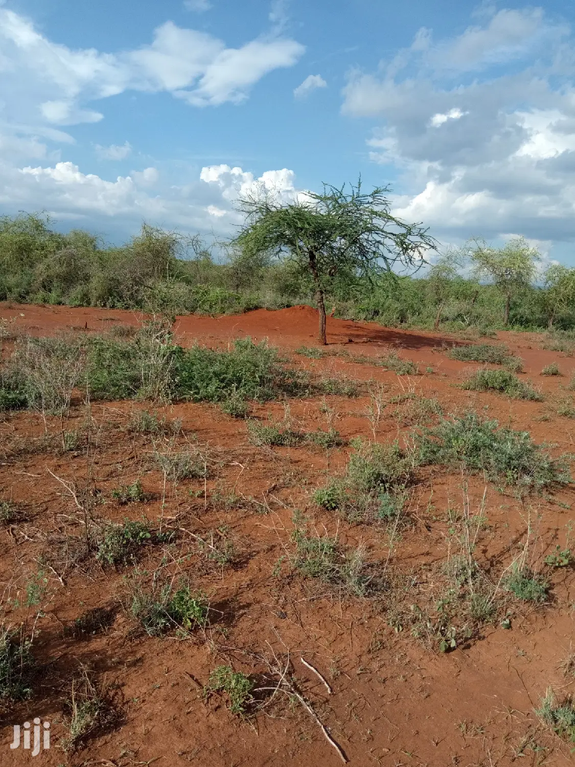10 Acres Farming Land in Eremit(Near Tinga )At Per Acre