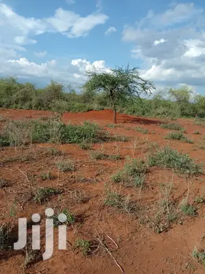 10 Acres Farming Land in Eremit(Near Tinga )At Per Acre