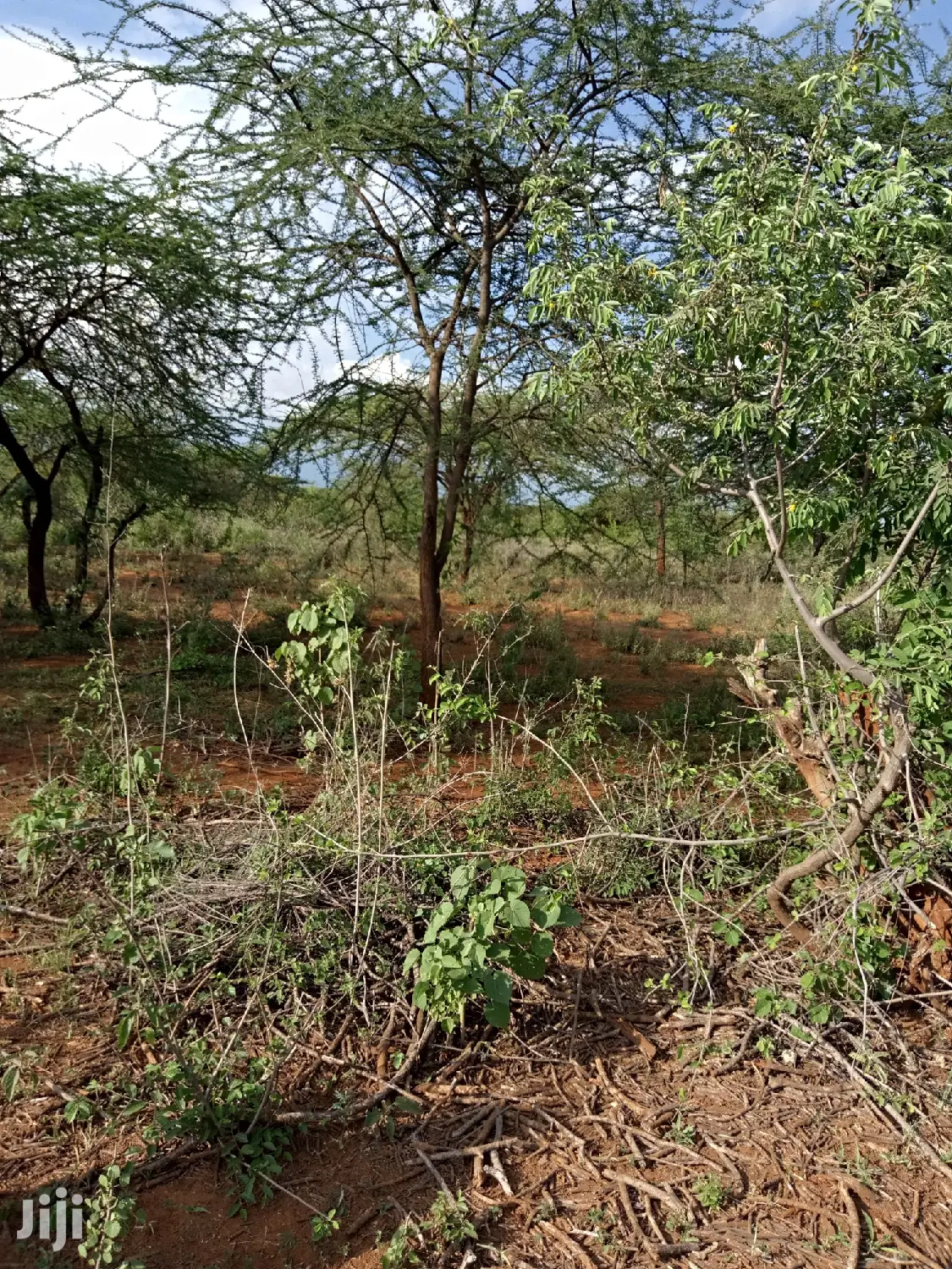 10 Acres Farming Land in Eremit(Near Tinga )At Per Acre