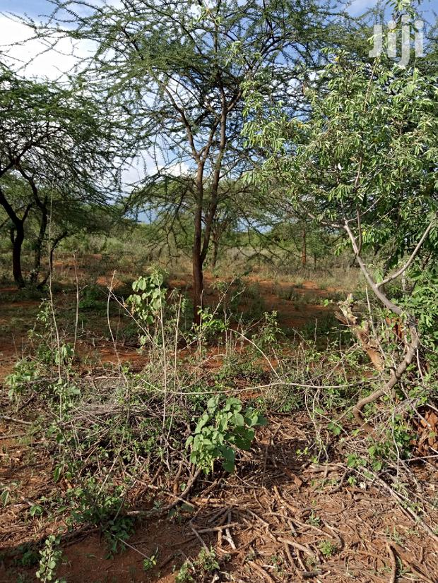 10 Acres Farming Land in Eremit(Near Tinga )At Per Acre