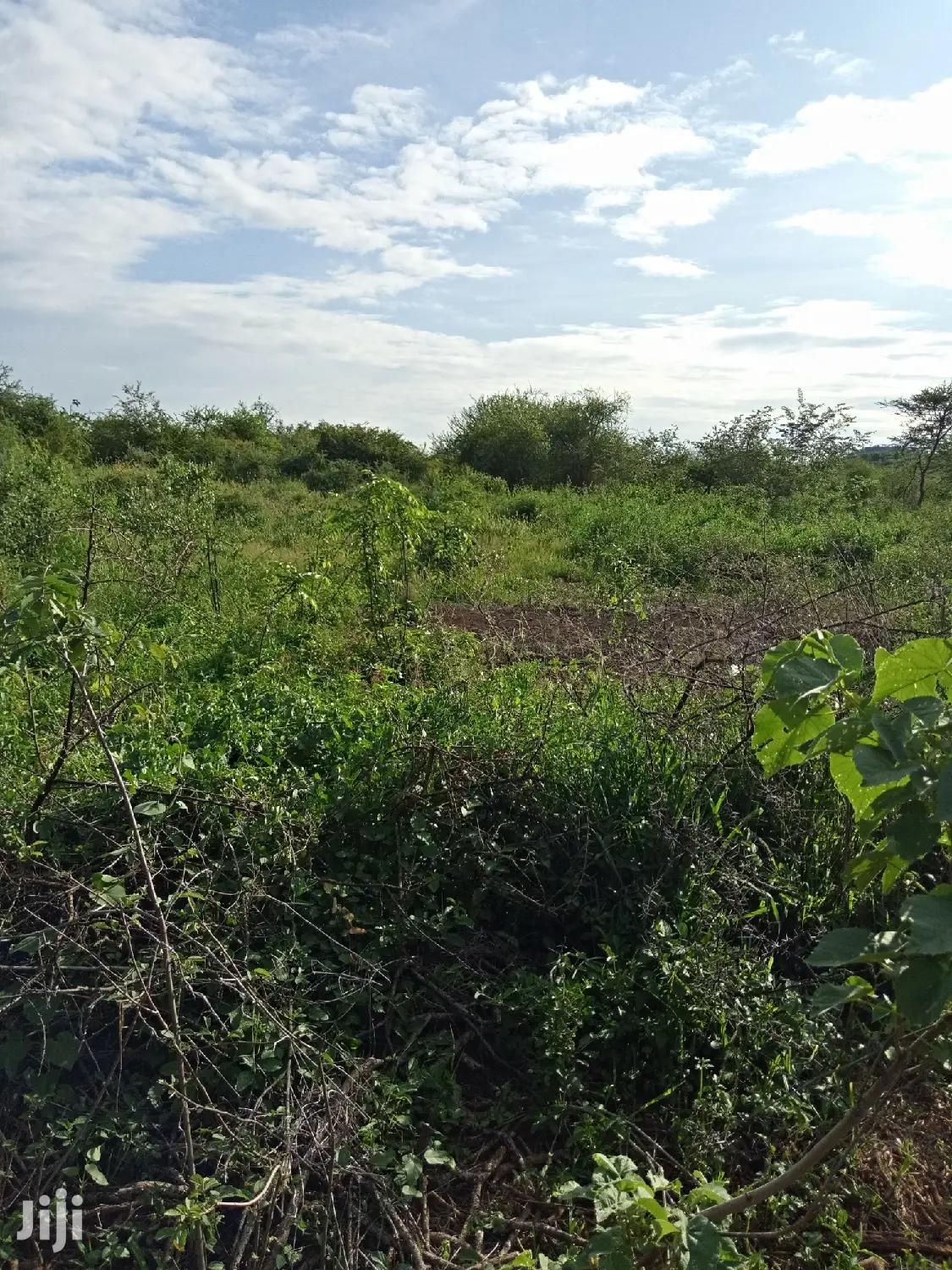 10 Acres Farming Land in Eremit(Near Tinga )At Per Acre