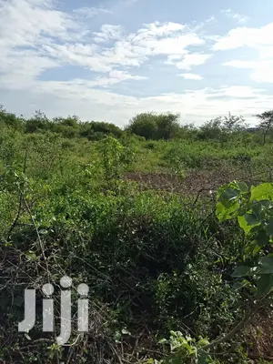 10 Acres Farming Land in Eremit(Near Tinga )At Per Acre