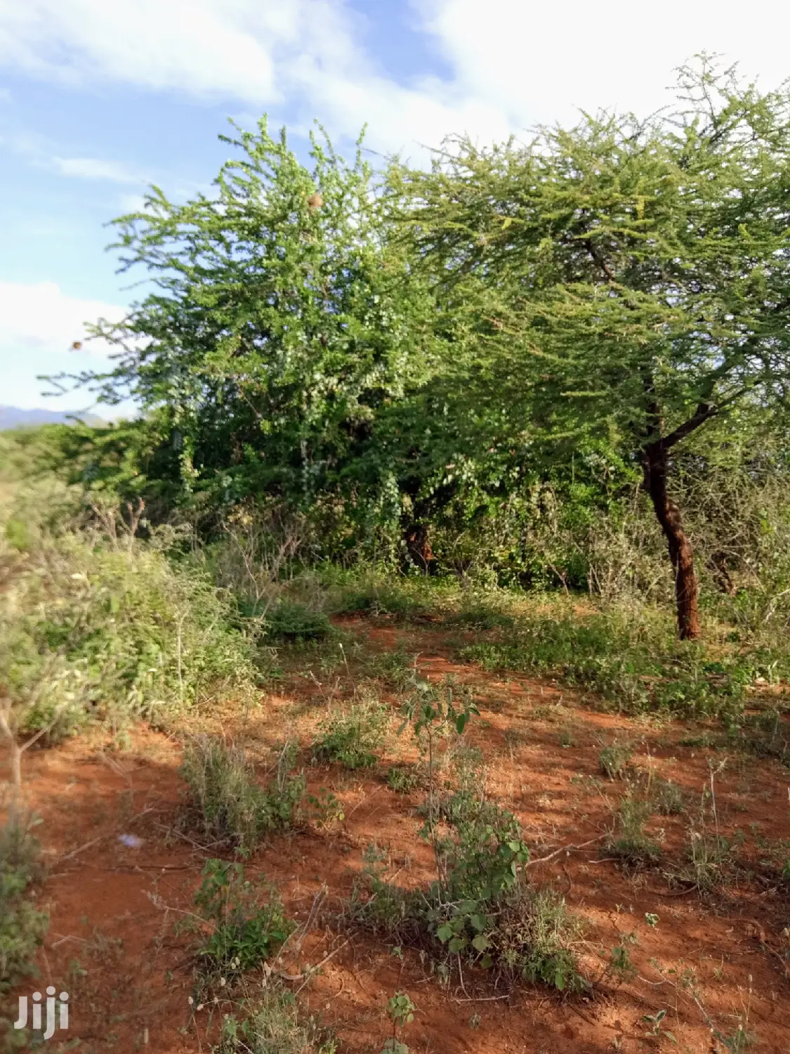 10 Acres Farming Land in Eremit(Near Tinga )At Per Acre