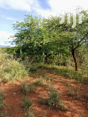 10 Acres Farming Land in Eremit(Near Tinga )At Per Acre