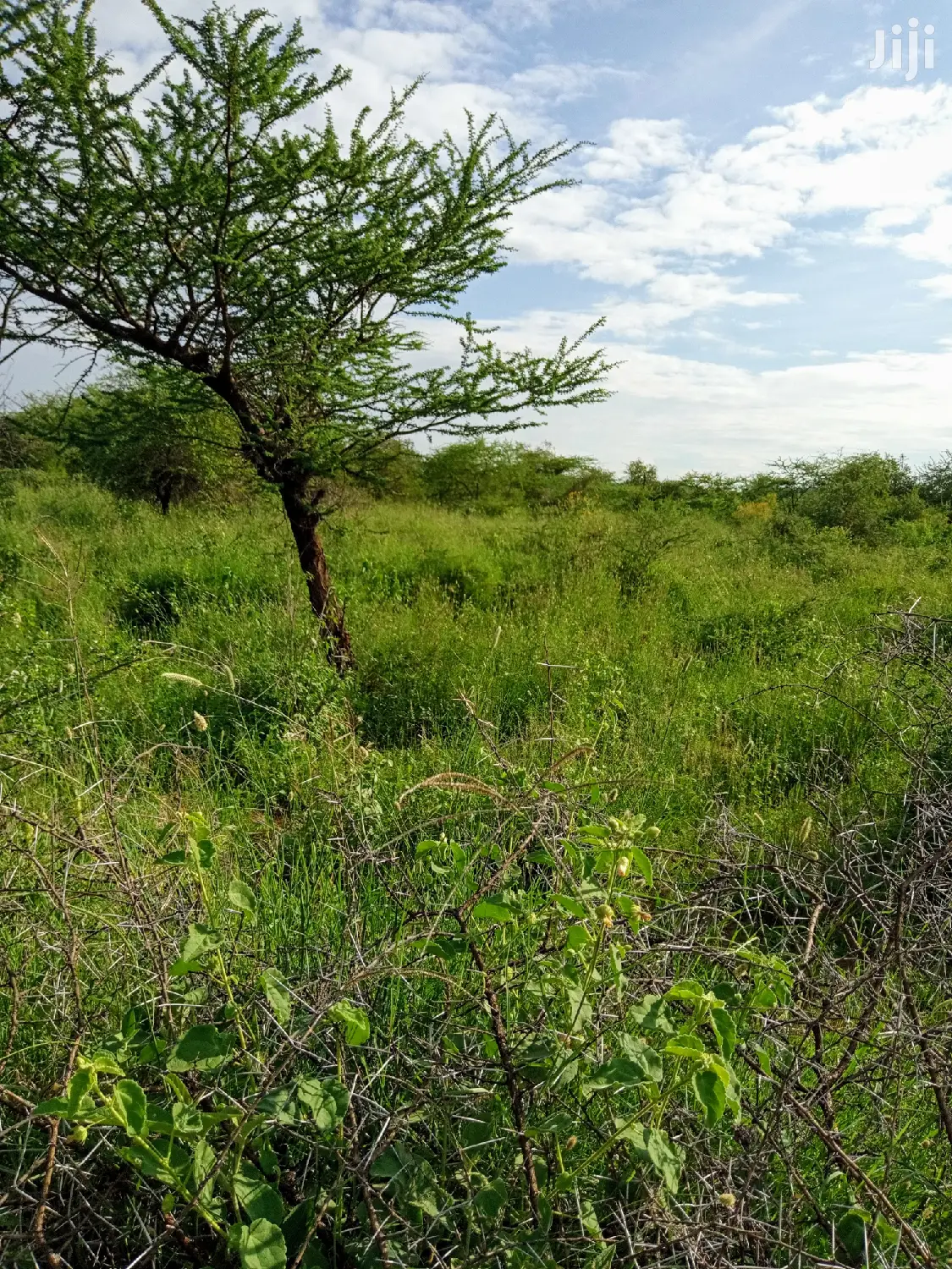 10 Acres Farming Land in Eremit(Near Tinga )At Per Acre