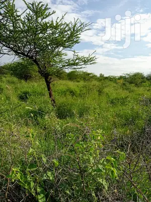 10 Acres Farming Land in Eremit(Near Tinga )At Per Acre