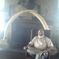 Marey Hassan Almonchawy logo