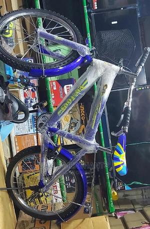 Victory Bicycle Size 20 - main view