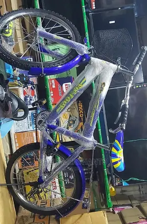 Victory Bicycle Size 20