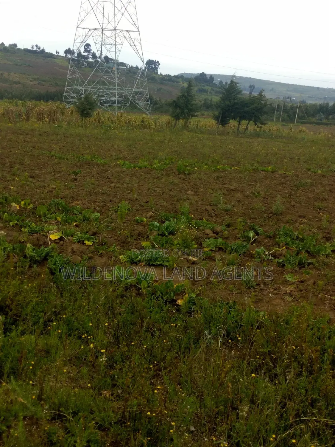Land on Sale at Munyu Naivasha