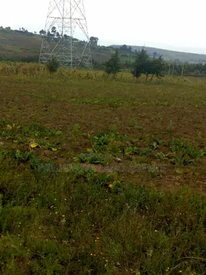 Land on Sale at Munyu Naivasha