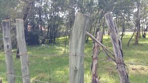 One Acre Elgonview With Title - main view