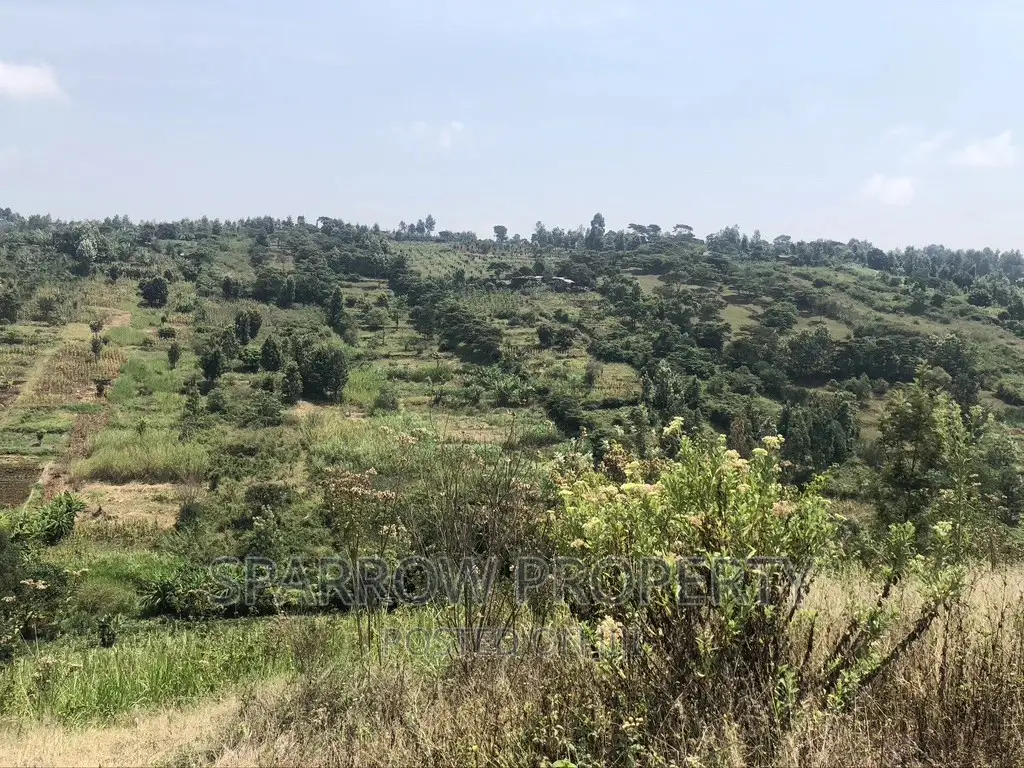 Land for Quick Sale-Nyeri Kiganjo