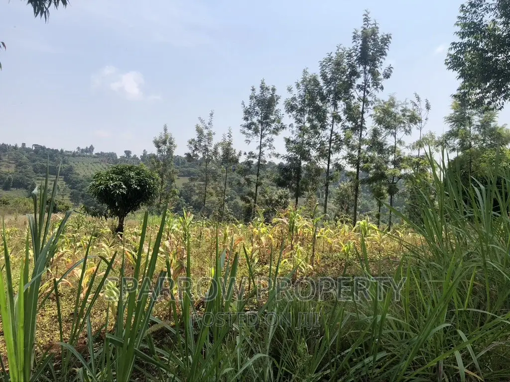 Land for Quick Sale-Nyeri Kiganjo