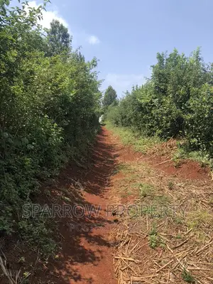 Land for Quick Sale-Nyeri Kiganjo