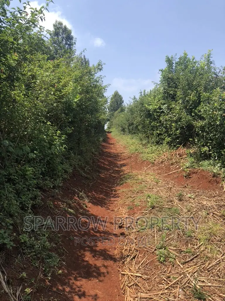 Land for Quick Sale-Nyeri Kiganjo