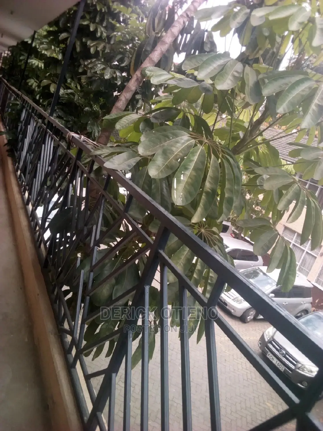 1bedroom To Let In Kilimani