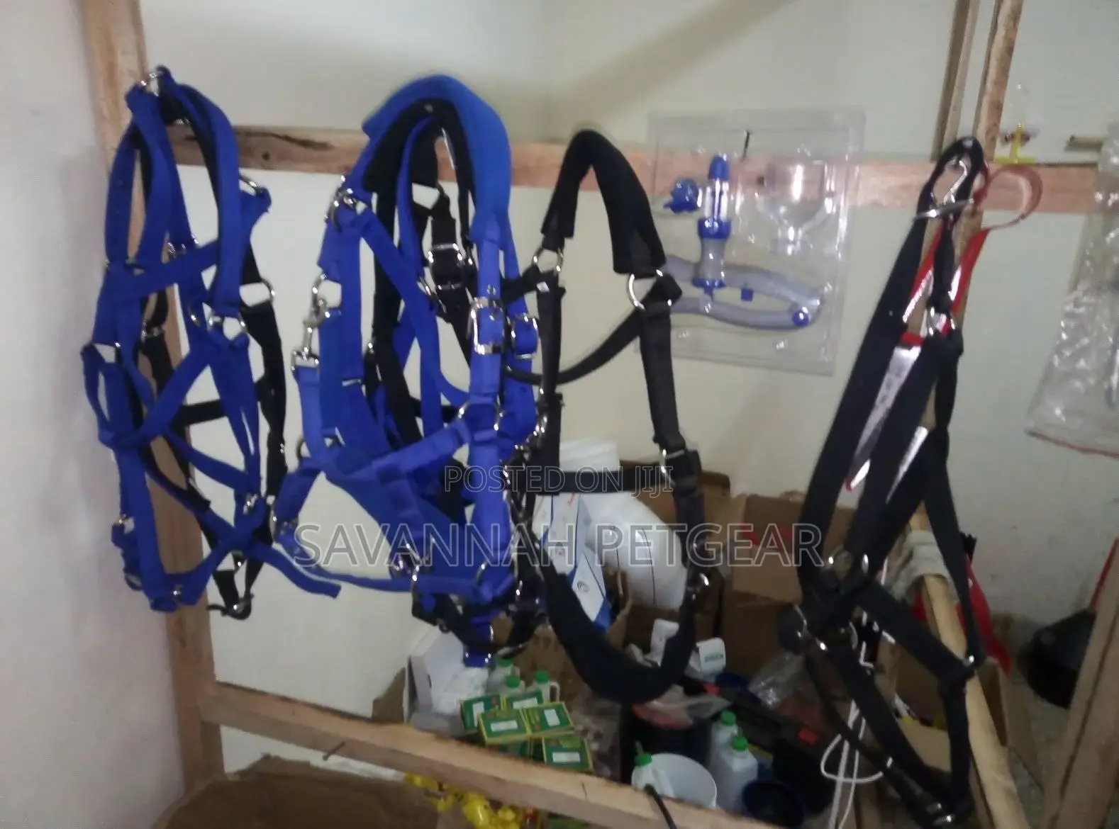 Cow Halters for Sale
