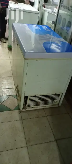 Deep Freezer 300L