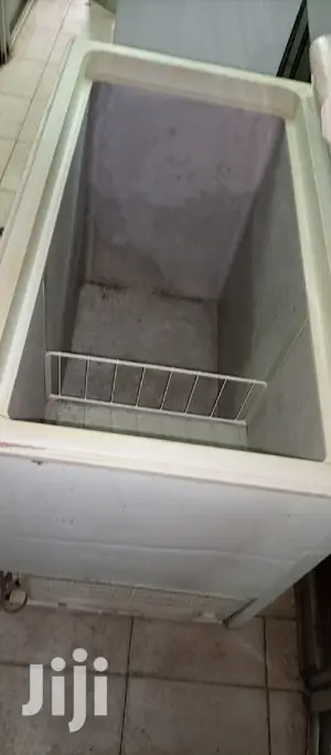 Deep Freezer 300L