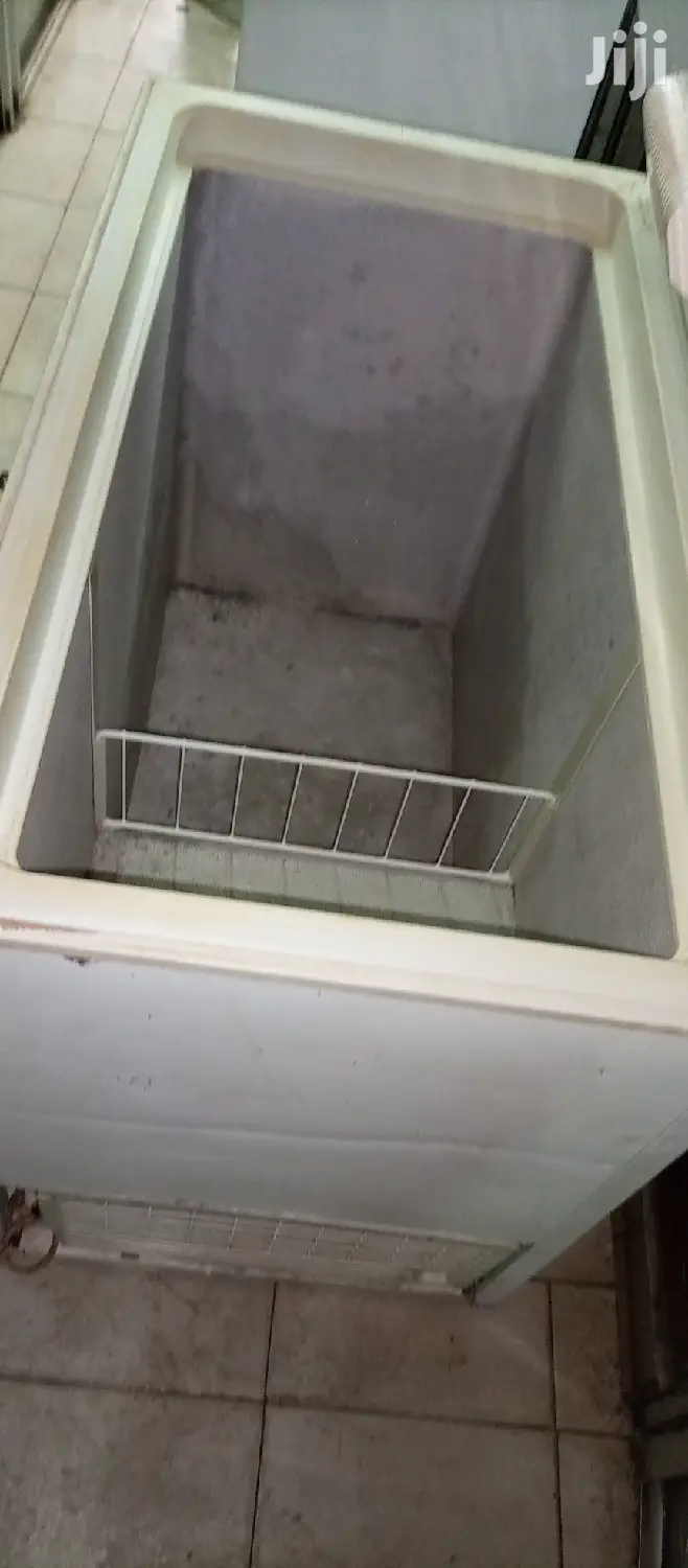 Deep Freezer 300L